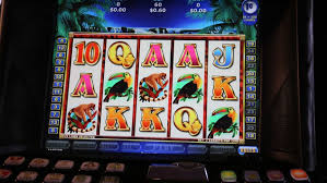 Exploring the Excitement of thepokies Australia 1 Exploring the Excitement of thepokies Australia 1